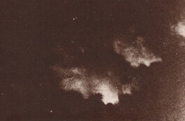 isotta