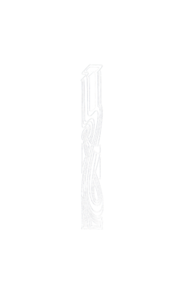 isotta